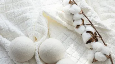 Hybrid Cotton